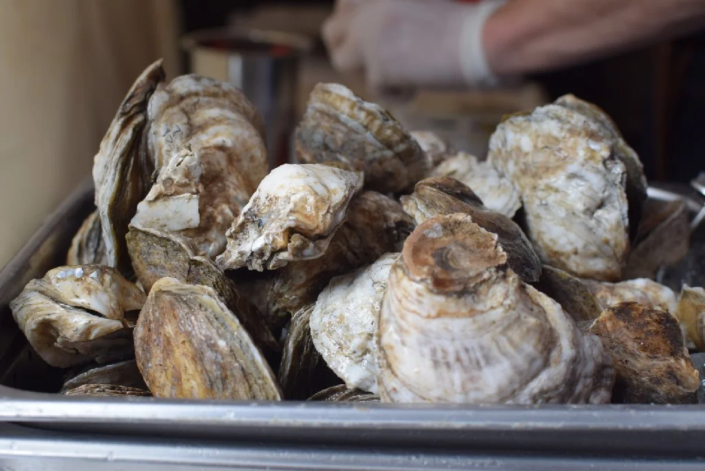 2015 Atlanta Food &amp; Wine Festival - The City Dweller (45)