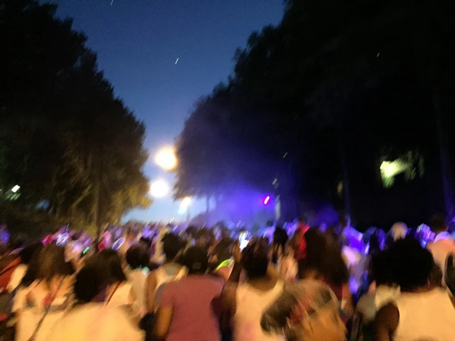 Color Fun Fest 2015 - Atlanta - The City Dweller (35)