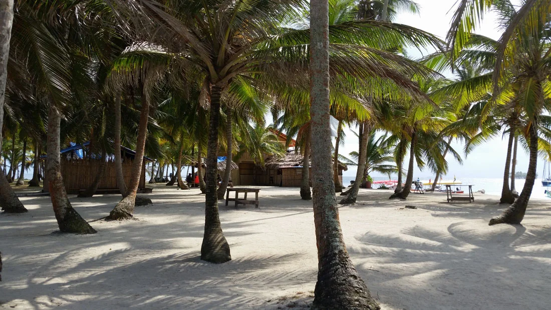Panama - The City Dweller (11)
