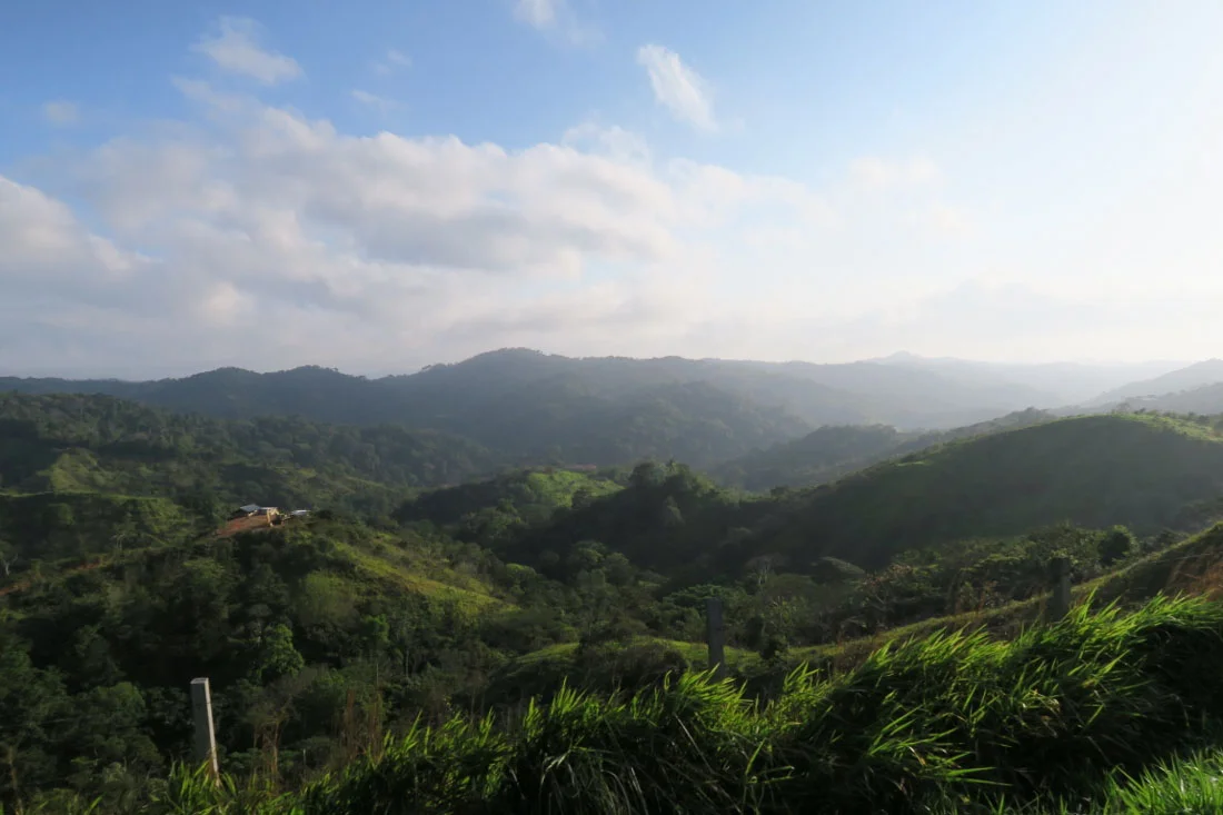 Panama - The City Dweller (132)