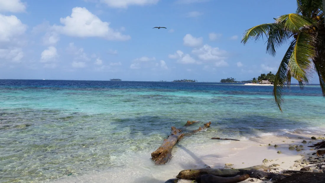 Panama - The City Dweller (66)
