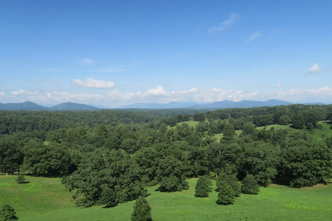 Biltmore - Asheville - The City Dweller (11)
