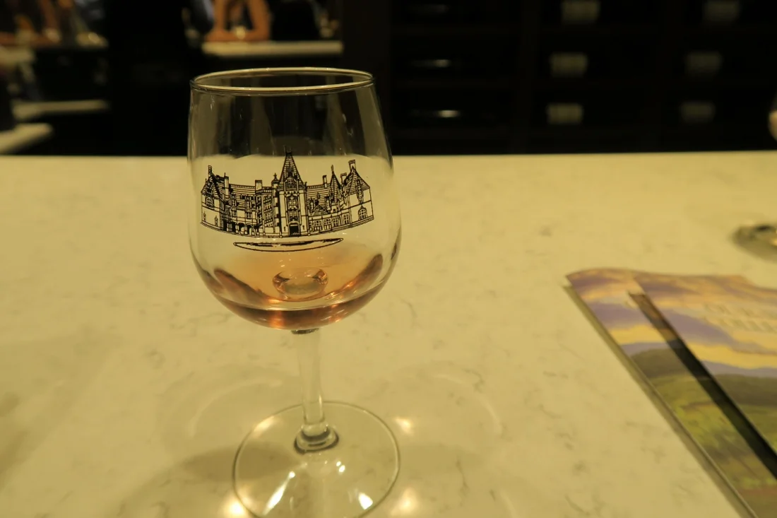 Biltmore - Asheville - The City Dweller (47)
