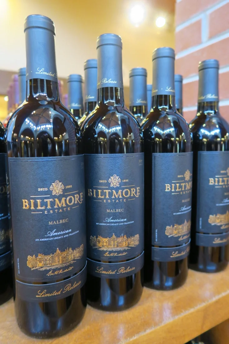 Biltmore - Asheville - The City Dweller (52)