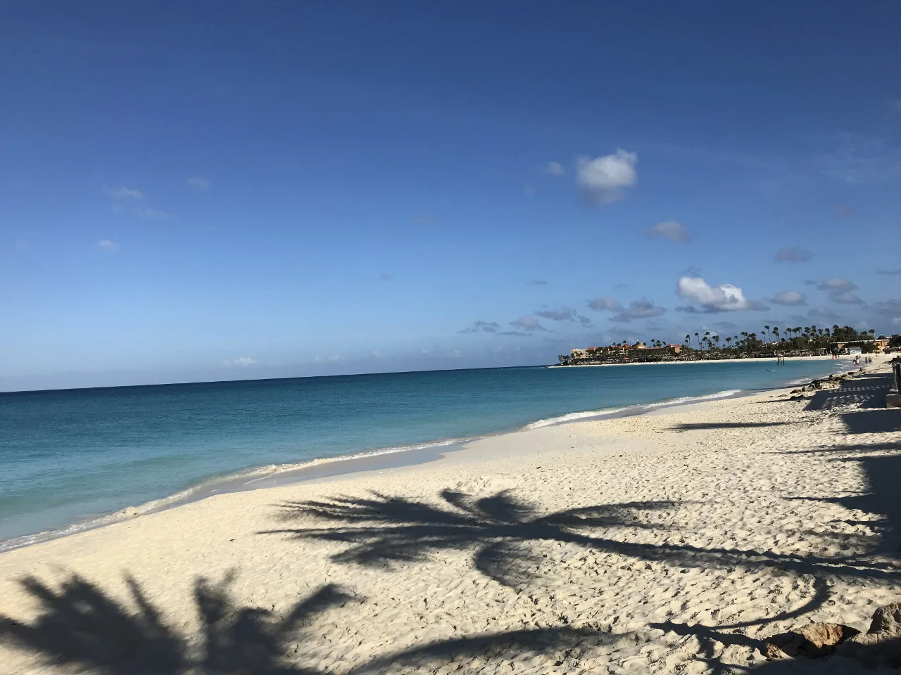 Aruba-The-City-Dweller-17.jpg