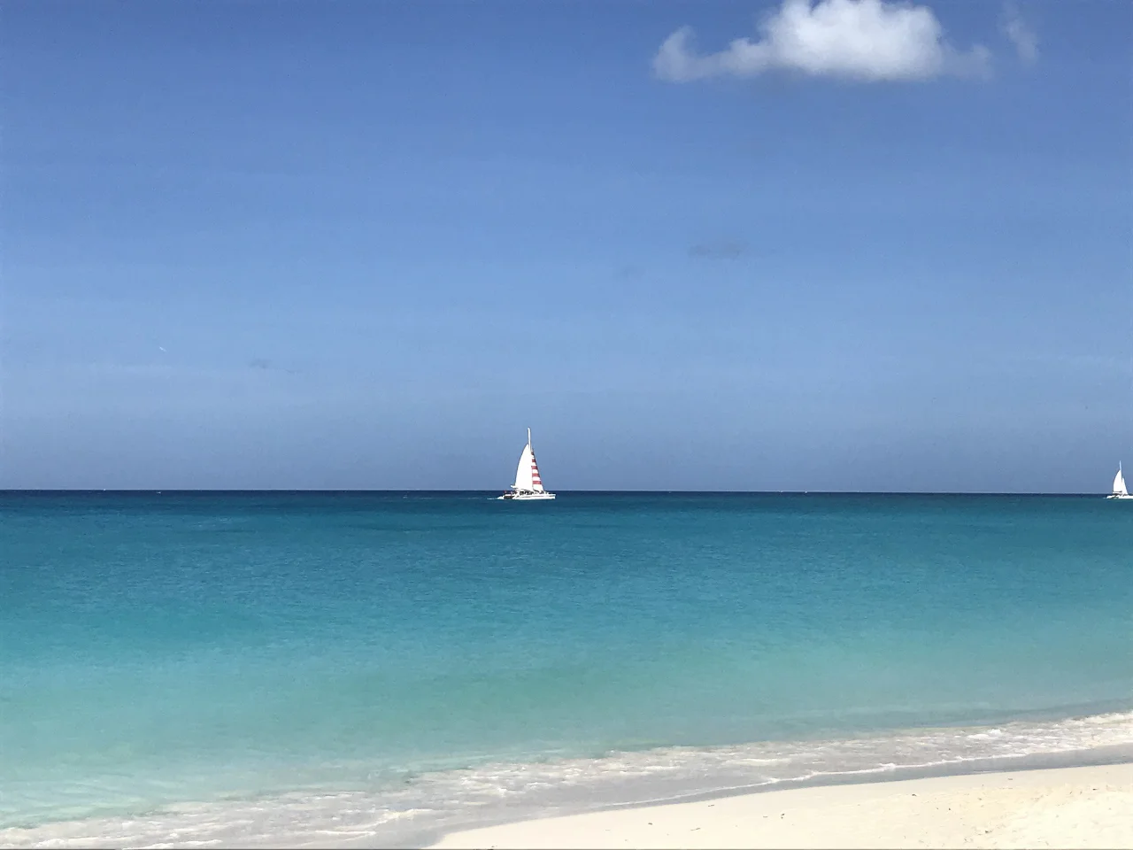 Aruba-The-City-Dweller-28.jpg