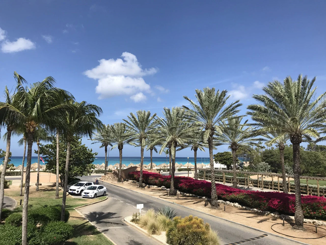 Aruba-The-City-Dweller-29.jpg