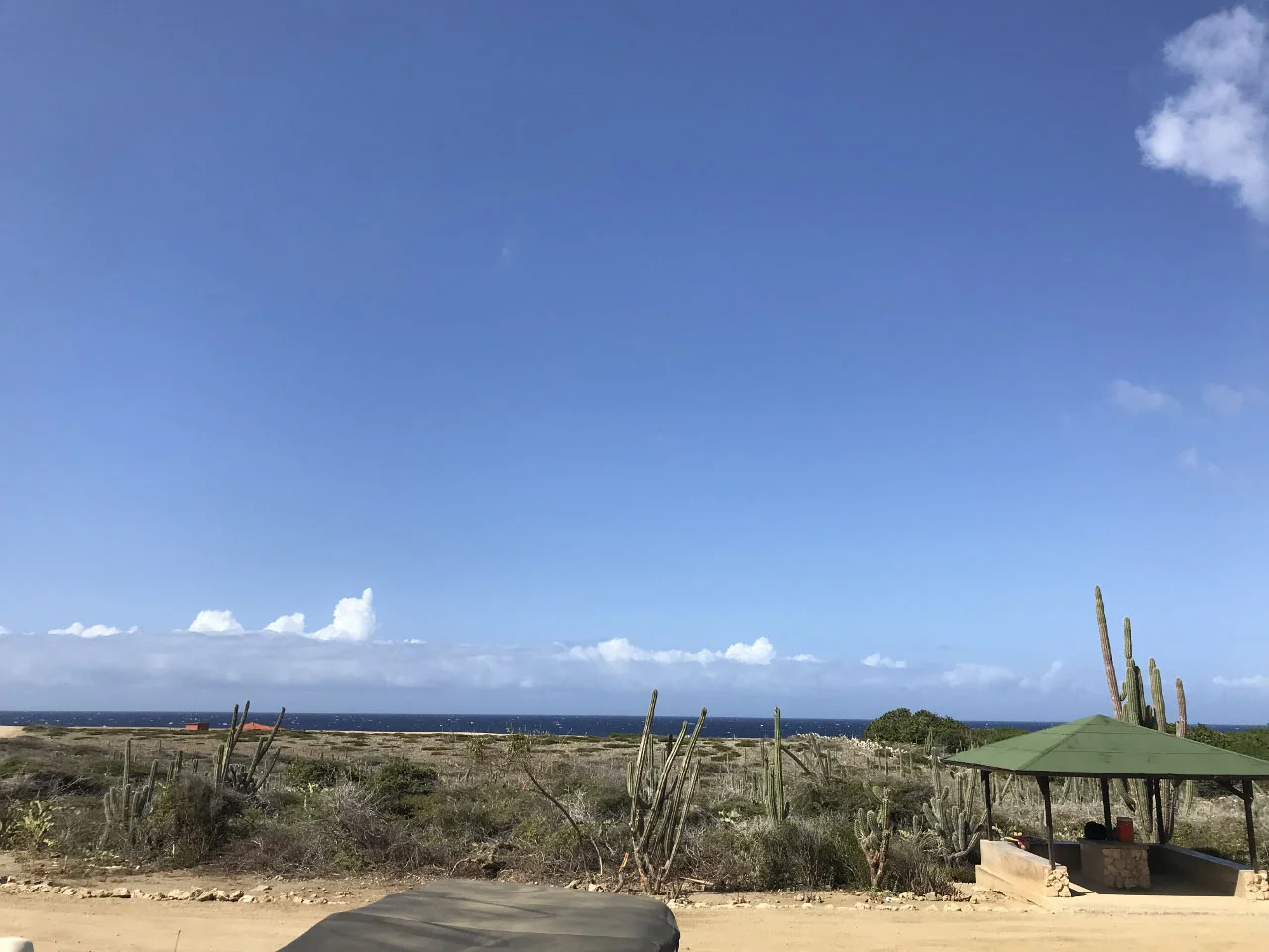 Aruba-The-City-Dweller-31.jpg