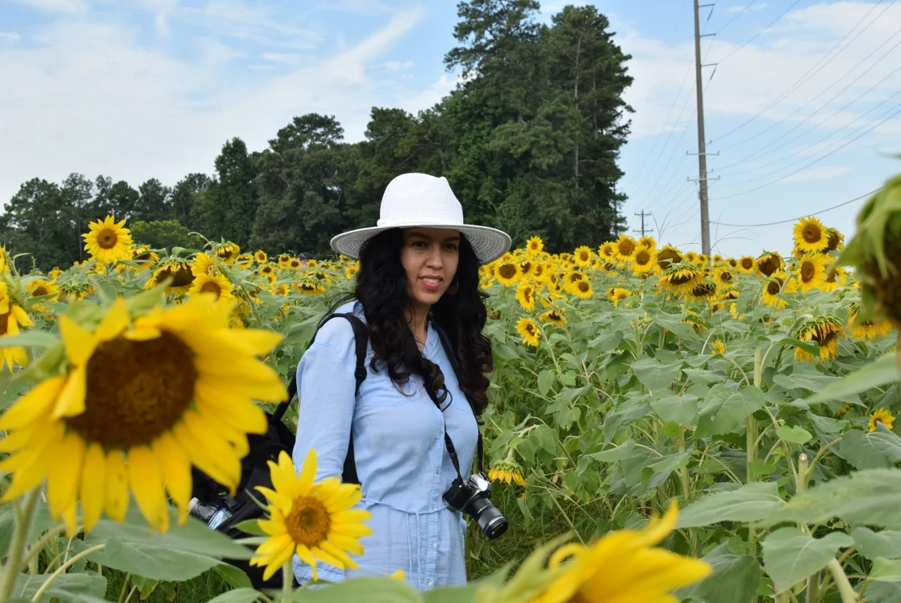 Sunflower Field_The City Dweller (4).jpg