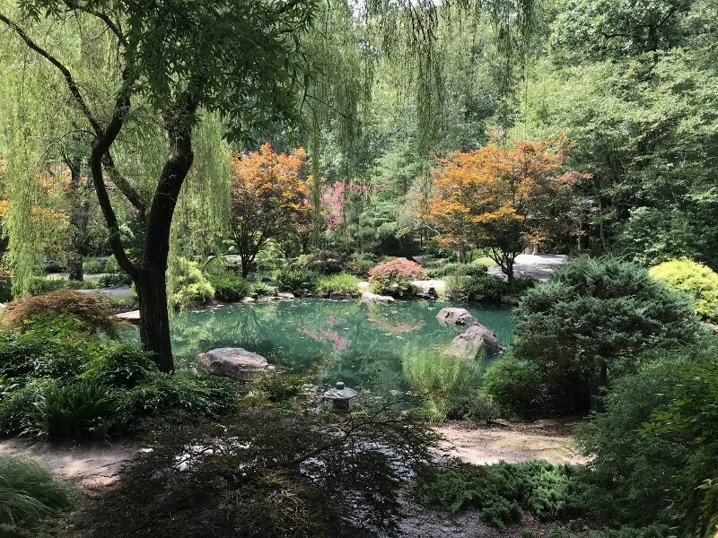 pond-3-gibbs-garden-atlanta.jpg