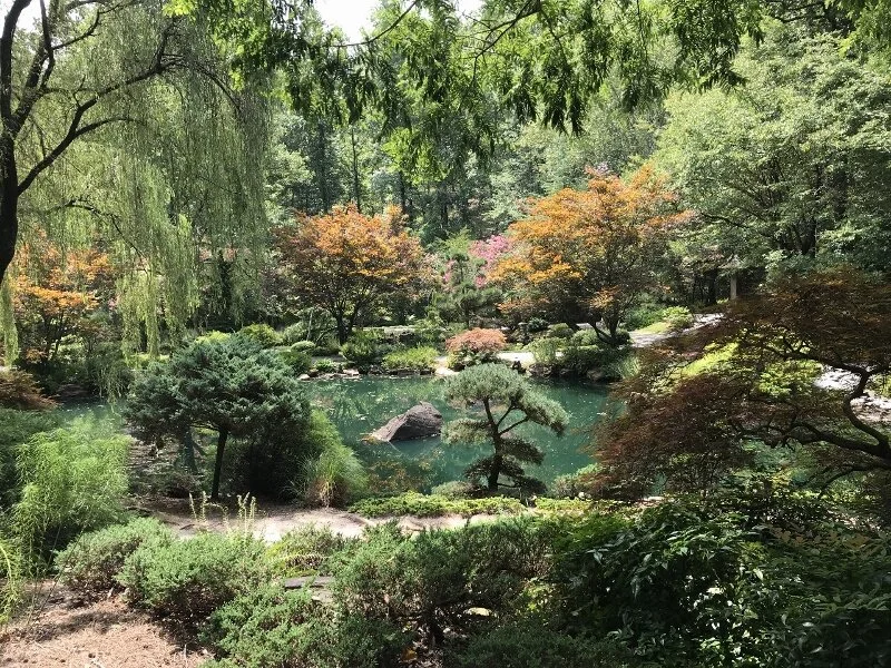pond-gibbs-garden-atlanta.jpg
