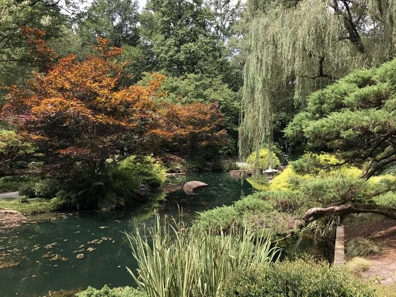 pond-2-gibbs-garden-atlanta.jpg