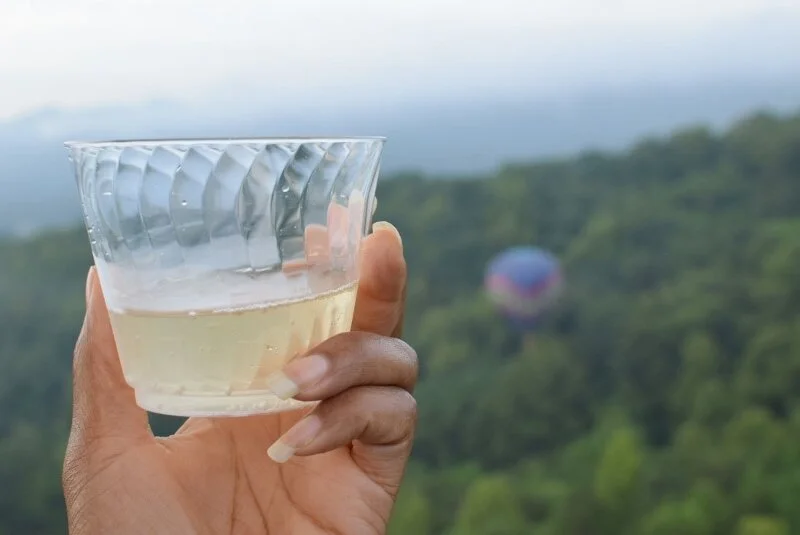 Hot Air Balloon - Asheville - The City Dweller (63)
