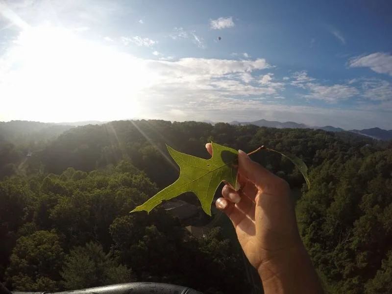 DCIM100GOPROGOPR0030.