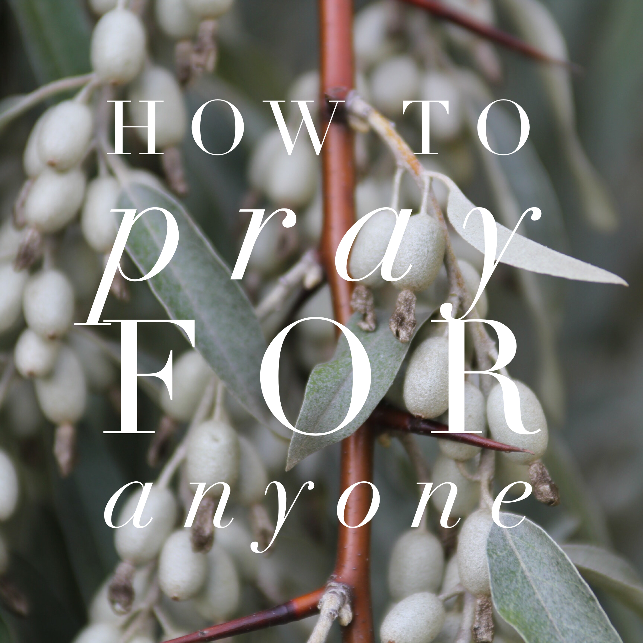 From the Outside Looking In: How to Sincerely Pray for Anyone in Your Life (Introduction) 