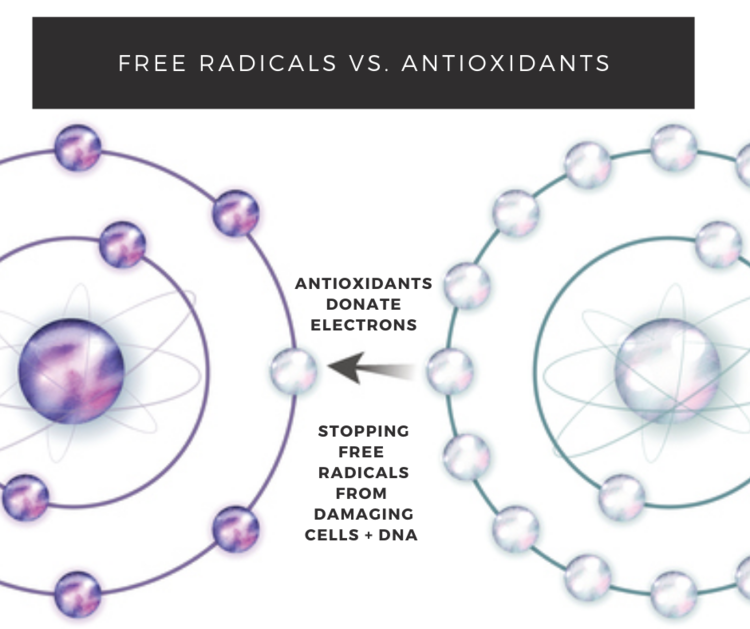 CBD More Antioxidant than Vitamin C and E — midose
