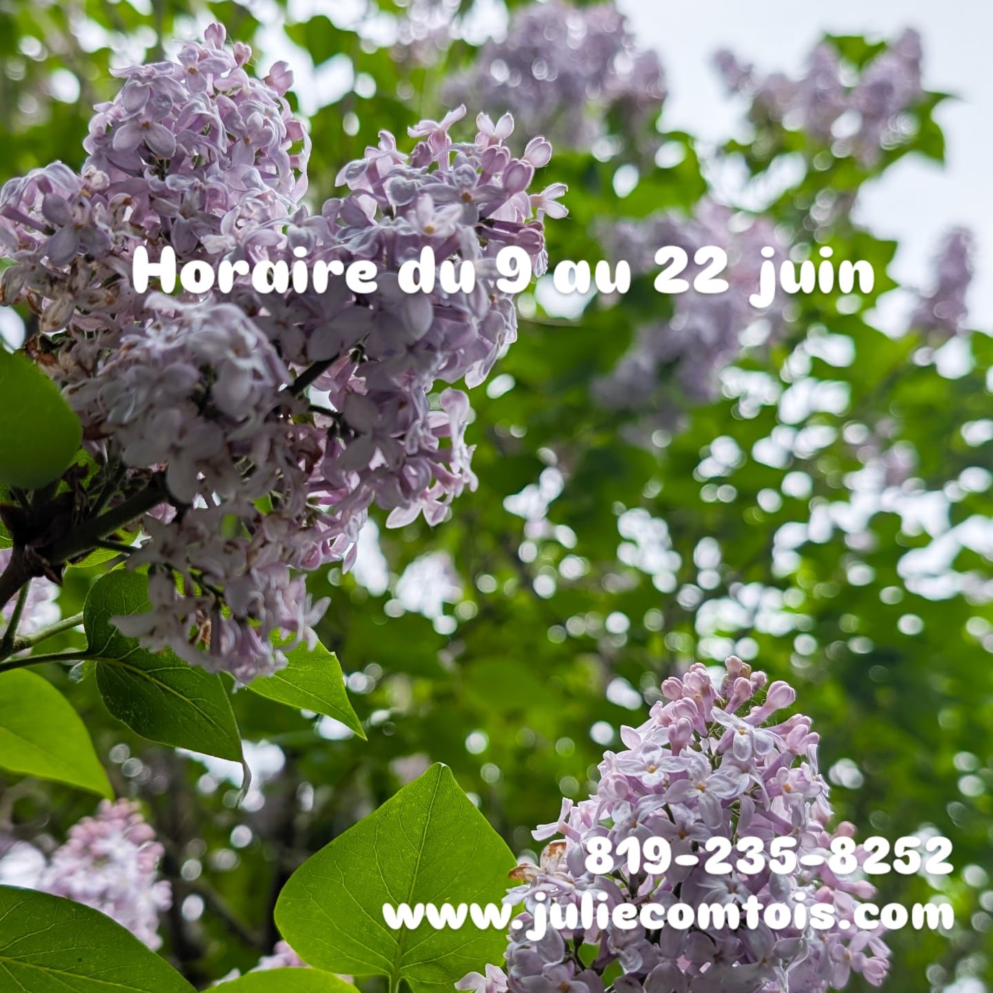 Voici mon horaire des 2 prochaines semaines 😎☀️ : 
Lun 9 juin complet
Mar 10 juin complet
Mer 11 juin 13h, 15h ou 19h30
Jeu 12 juin 10h, 13h, 15h ou 17h
Ven 13 juin 8h30, 10h30 ou 13h
Sam 14 juin ferm&eacute;
.
Dim 15 juin complet
Lun 16 juin ferm&e