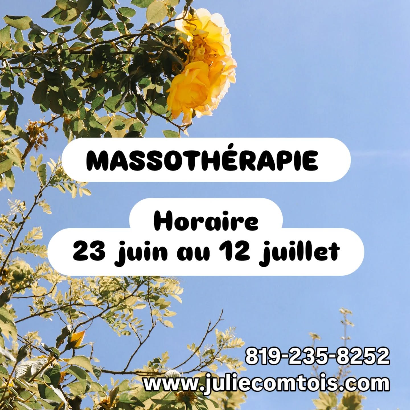 🙌🩵🌼Voici un aper&ccedil;u de mes dispos &agrave; venir :
Lun 23 juin 13h ou 14h30
Mar 24 juin 8h30, 10h30, 13h ou 15h
Mer 25 juin complet
Jeu 26 juin complet 
Ven 27 juin 8h30 ou 10h30
Sam 28 juin ferm&eacute; 
.
Dim 29 juin ferm&eacute; 
Lun 30 j