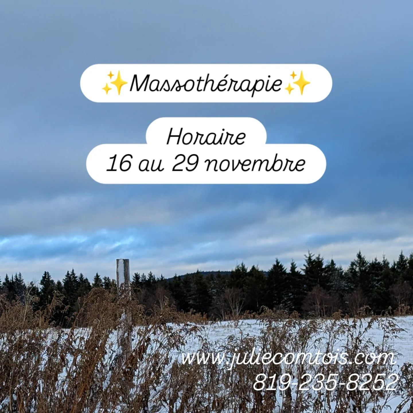 Voici mes dispos restantes pour les 2 prochaines semaines ✨
Dim 16 nov ferm&eacute;
Lun 17 nov ferm&eacute;
Mar 18 nov 13h
Mer 19 nov 8h30 ou 10h30
Jeu 20 nov complet
Ven 21 nov complet
Sam 22 nov formation
.
Dim 23 nov formation 
Lun 24 nov ferm&eac