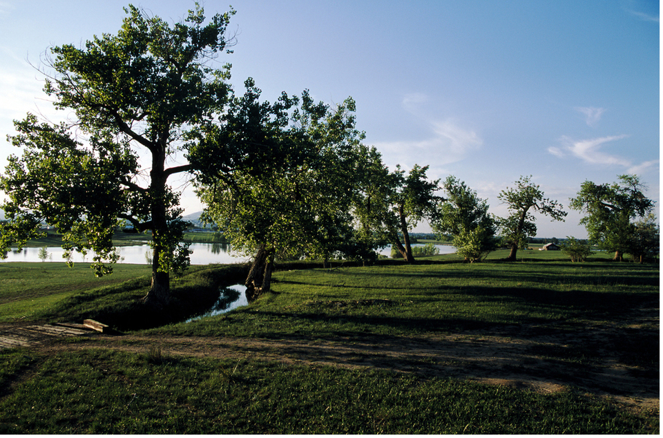 Waters Edge.jpg