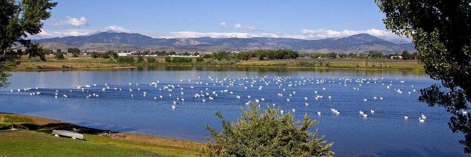 waters edge2.jpg
