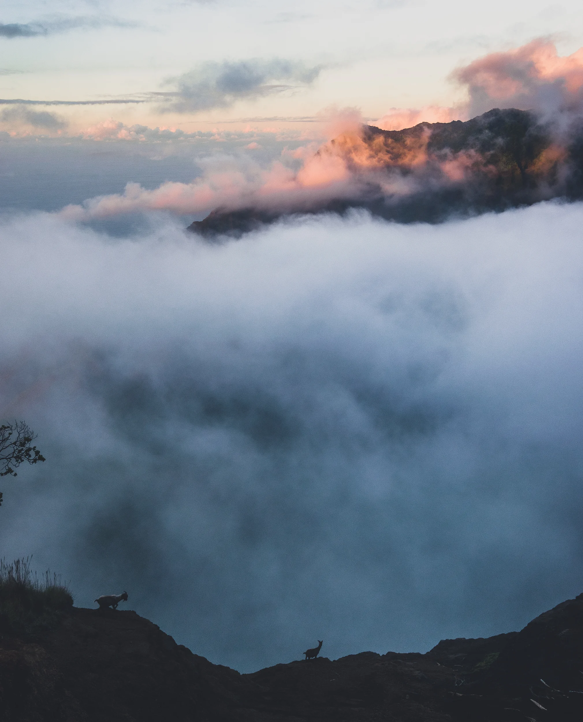 Kalalau Lookout, Kauai, Hawaii