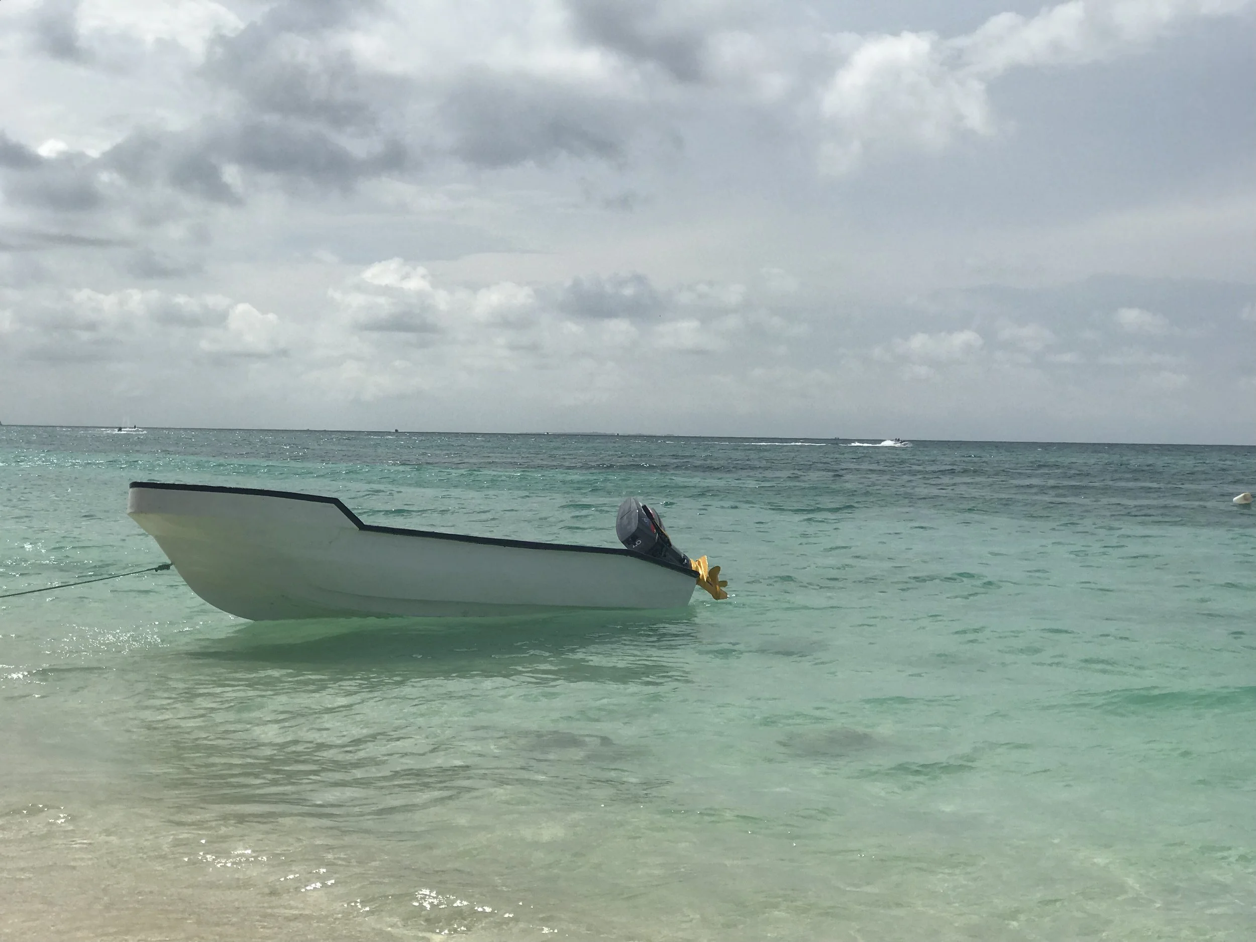 IMG_3569.jpg