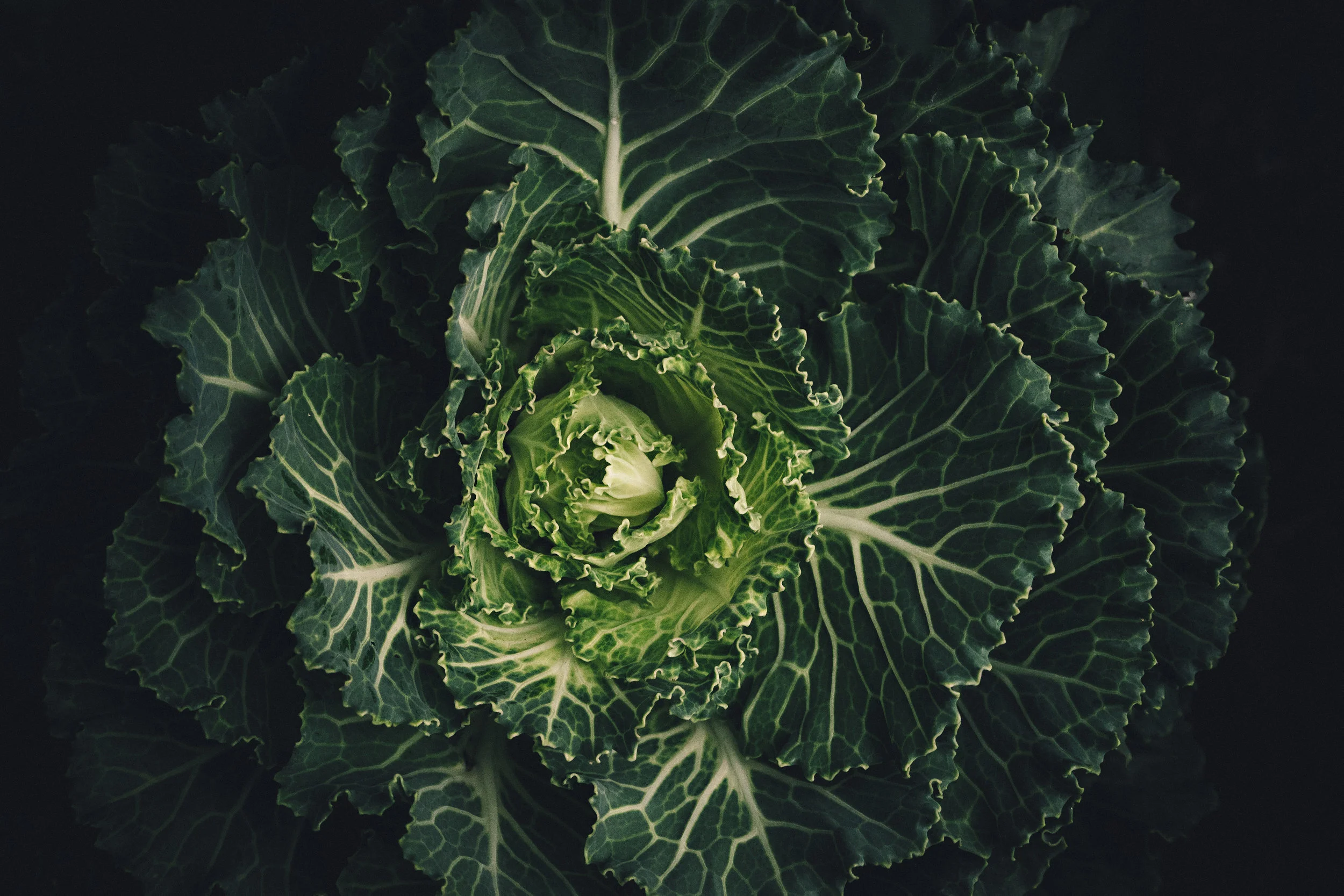 scott-webb-154507-unsplash.jpg