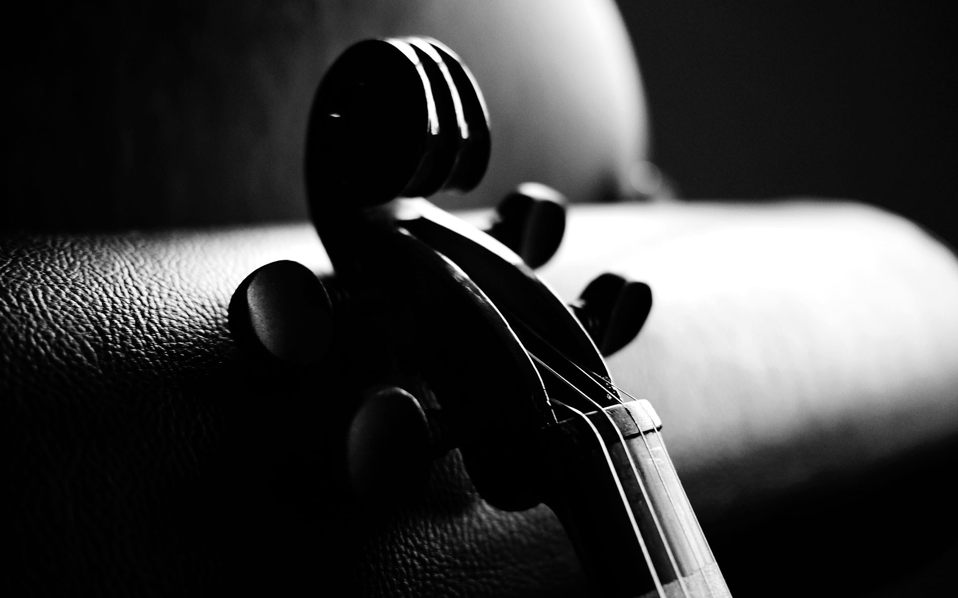 3826357-violin-wallpaper.jpg
