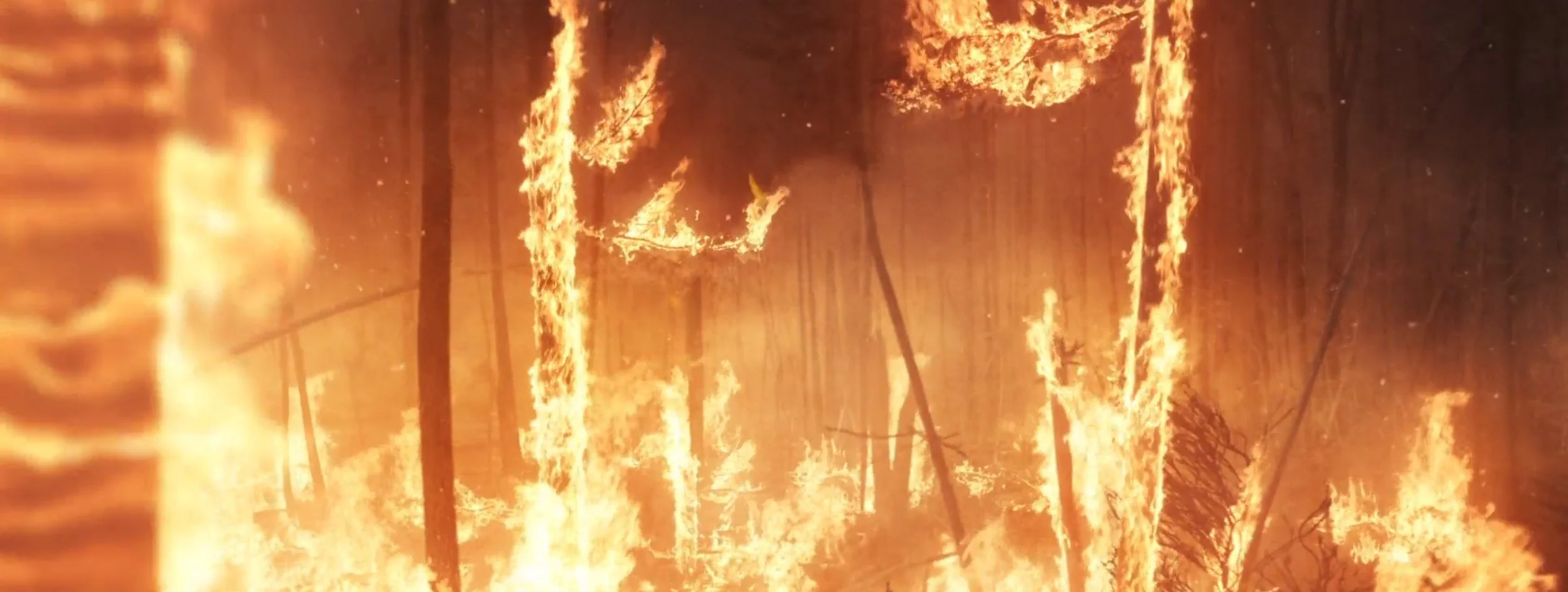 ActionVFX Partnership