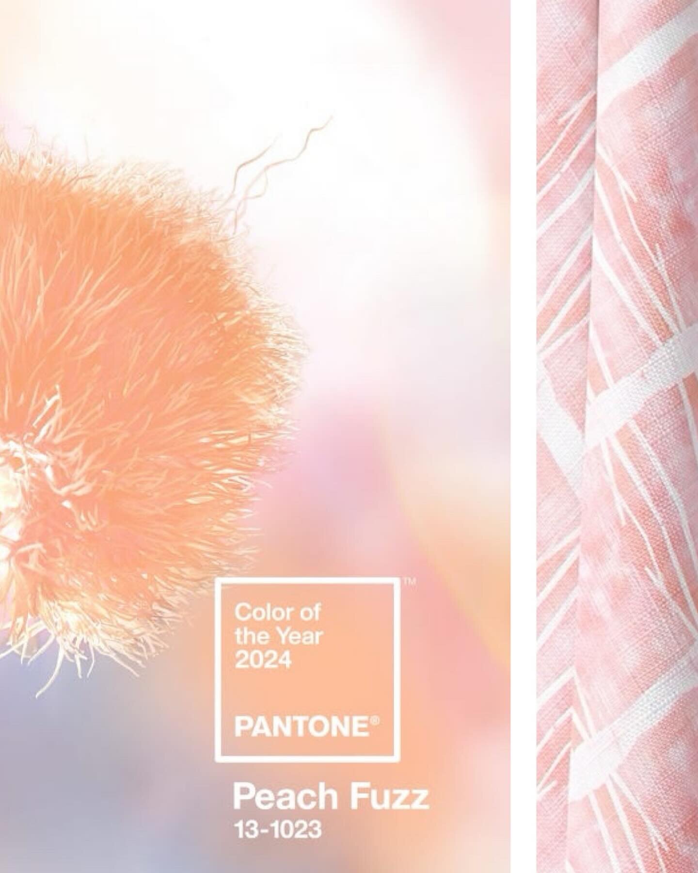 PANTONE color of the year &ldquo;Peach Fuzz&rdquo;  captures our desire to nurture ourselves and others. It&rsquo;s a velvety gentle peach tone whose all-embracing spirit enriches mind, body, and soul. At this time of the year and with the state of t