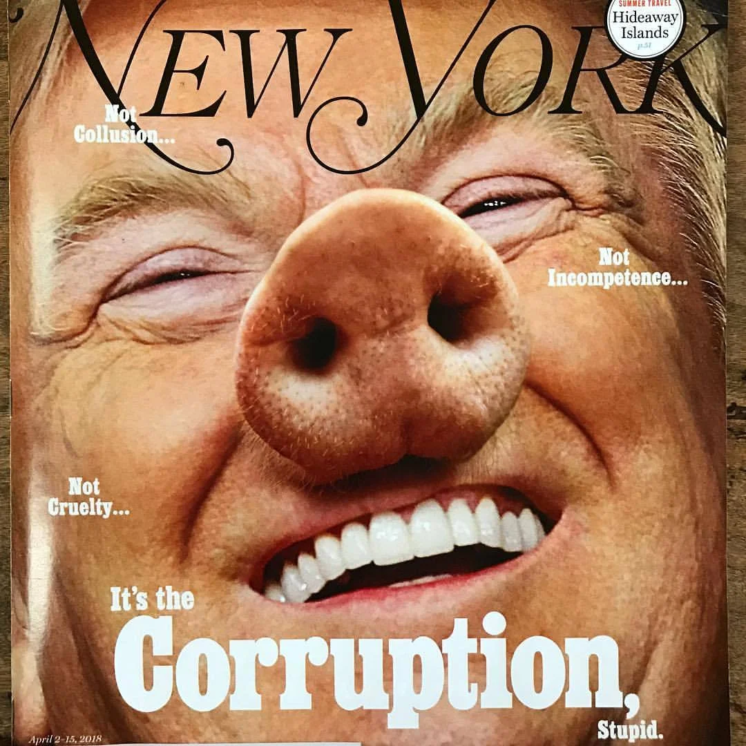 The day I moved to NYC to start my adult life (can it actually be 30 years ago??), I got a subscription to #newyorkmagazine and I’ve made sure it’s shown up in my mailbox ever since; culturally relevant, ponderously informative with a stable of great writers. I may have found my humanity and heart when I moved to Northern California, but my head and teeth were definitely, distinctly cut in New York.
-
#eastcoast #newyork #byedonald