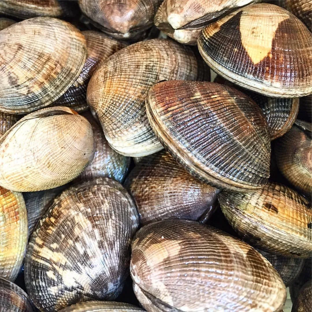 Too tiny manila clams
steamed in delicate salmon stock
made hearty
with fistfuls
of chopped garlic,
Italian parsley,
hot smoked paprika
and dill fronds;
served with a blonde from Beaune
and mopping up bread
studded with sesame.
#california #birthdaymonth #simplepleasures (at Point Reyes National Seashore)