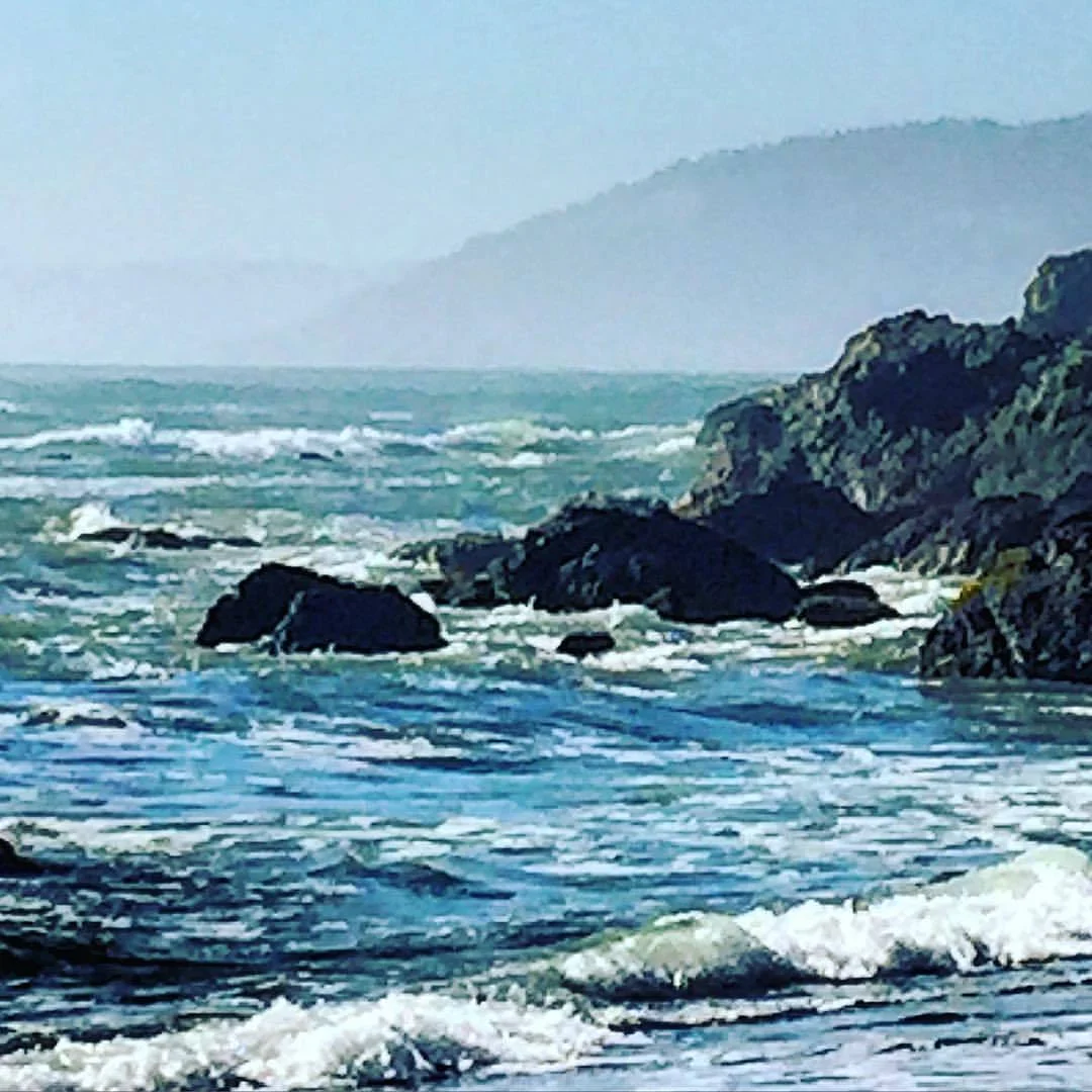 Calf-deep in surf
salt spray licking lips
fluttering on eyelashes
like the many monarch butterflies
gleefully blanketing
the purple phalluses
of Pride of Madiera plants
rooting the cliffs.
Perfidious swells crash on rocky outcroppings
bigger than this small-town’s city hall.
Arms aching with pleasure
feet dug into a black pebble beach
littered with gangly strands
of sun-dried seaweed
rough against bare skin.
Casting a long rod
into far pools
where fish feed.
Dinner dreams of Perch
poached en brodo
old wine and
mushrooms
black trumpets, chanterelles, morels, hedgehogs
harvested nearby in winter woods
and dried on screens
by an old hippy.
Nature continues unabated
July moon waxing
behind mountains
covered in conifer and cow.
Colors of frothy water
blue green turquoise aquamarine
like veined stones in a ring
from Arizona.
Black ducks flying against the glare of setting sun
wings just scraping waves
glittering with diamonds.
Pelicans soar in formation
an army of bills
riding thermals.
Thunderous white noise.
There is no silence
screams the wind
slaps the tide.
Peace abounds.
#california #mendocino #fishing
(at Mendocino, California)