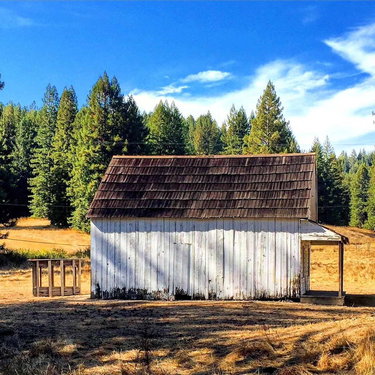 A peaceful backroad.
Mendocino, California 
#mendocino #california