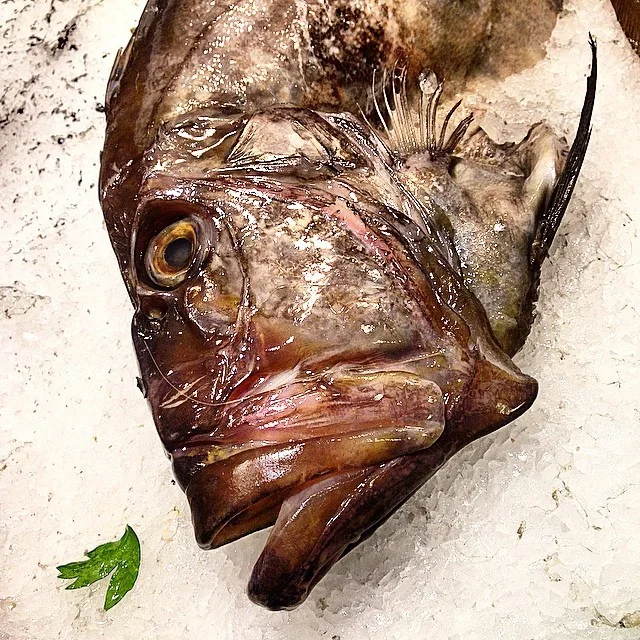 Pescado. (at La Boqueria)