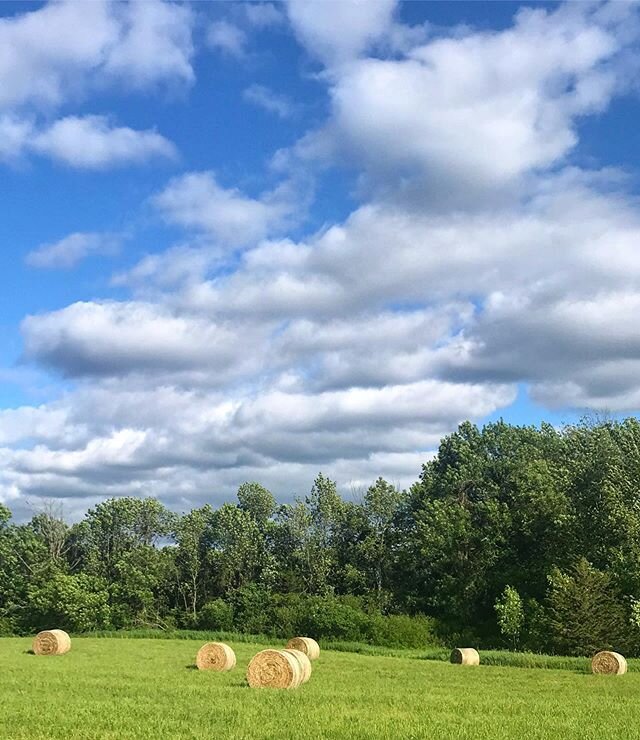 After the storm.
-
#canada #summertime #hayfield #farm