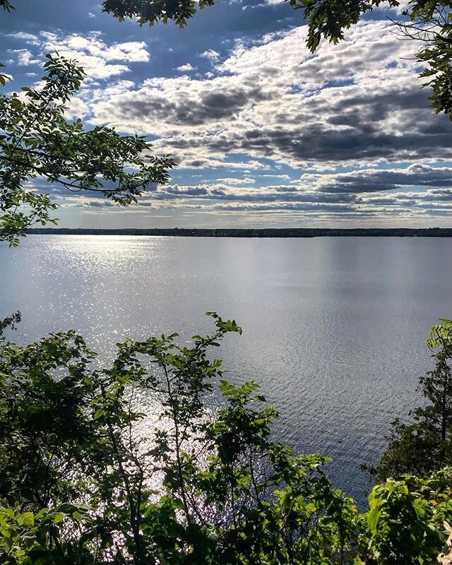 Lake Ontario.
-
#canada #summertime #lake #birdwatching