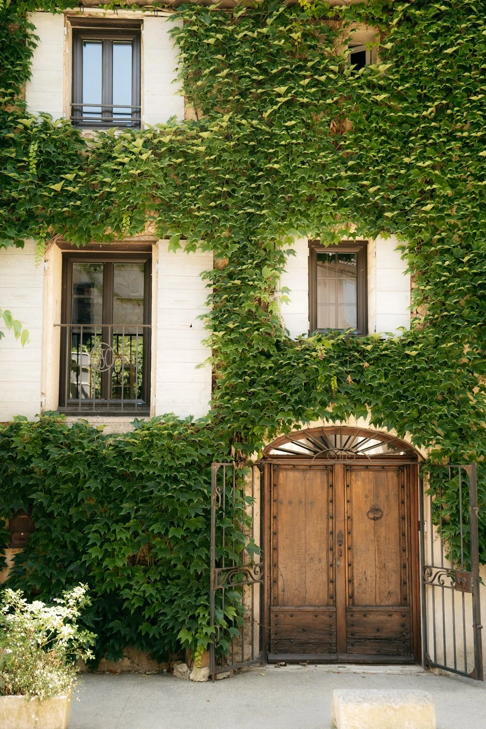 Ivy Covered Facade Lourmarin Village Provence