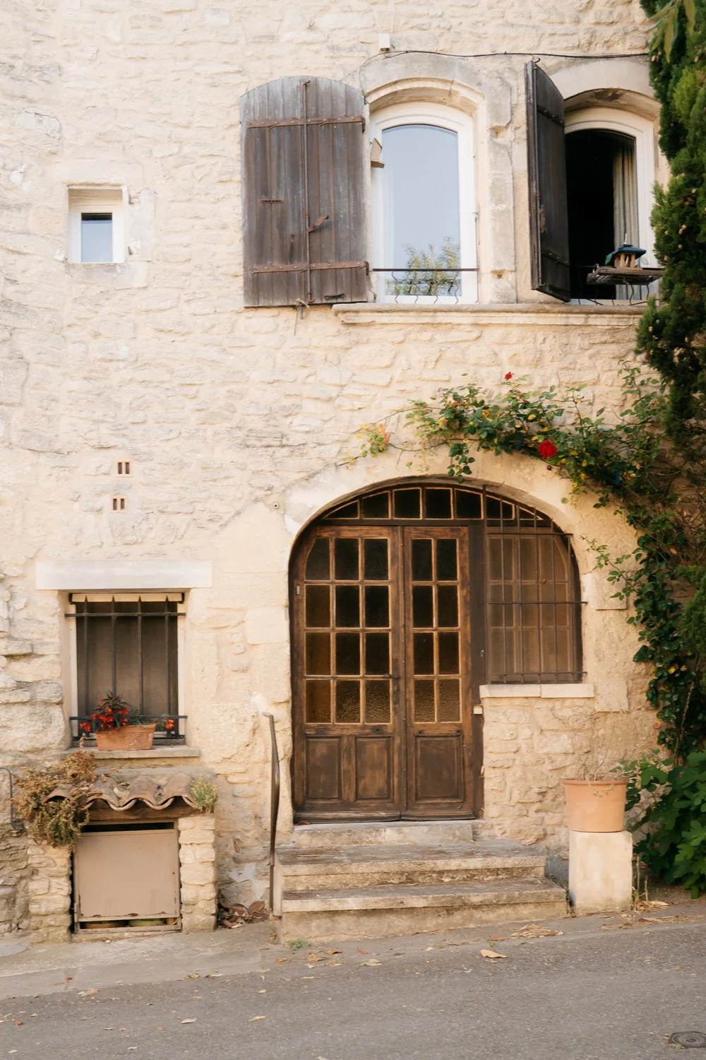 Provencal Door and Rose in Goult France Provence