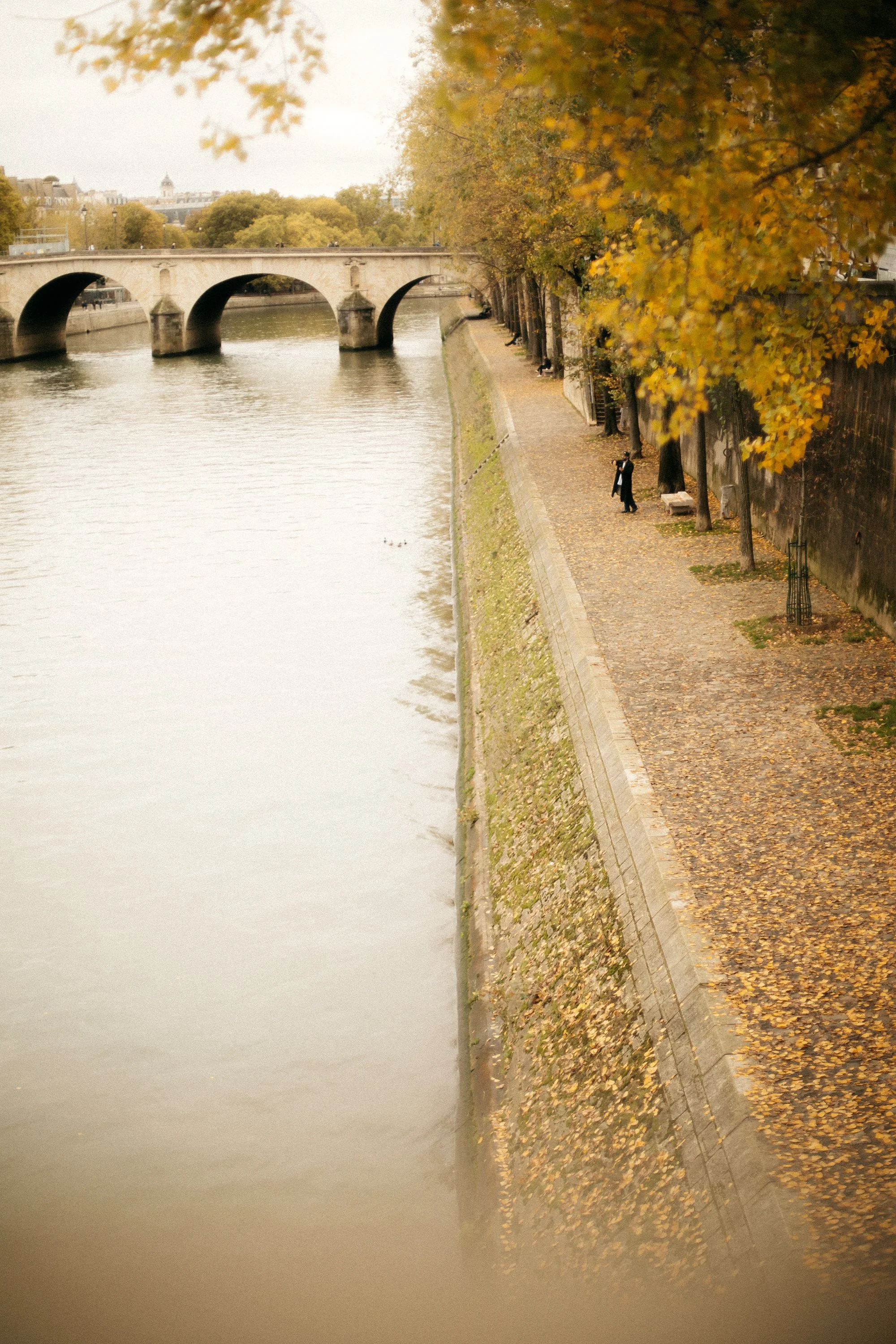 October in Paris: An Autumn Travel Guide