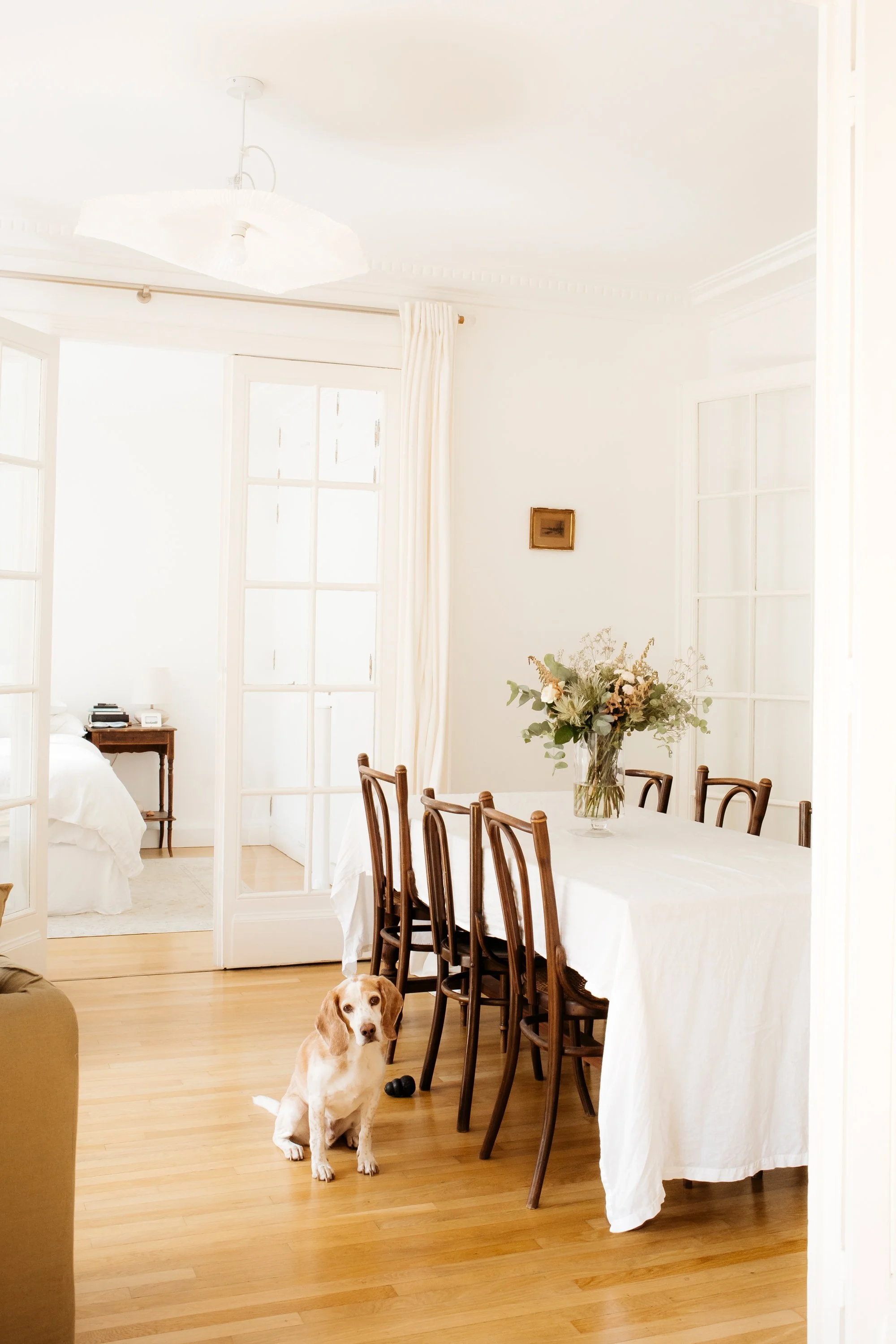 Where to Buy Furniture in France: Pendant Light Fixture from SelectionM