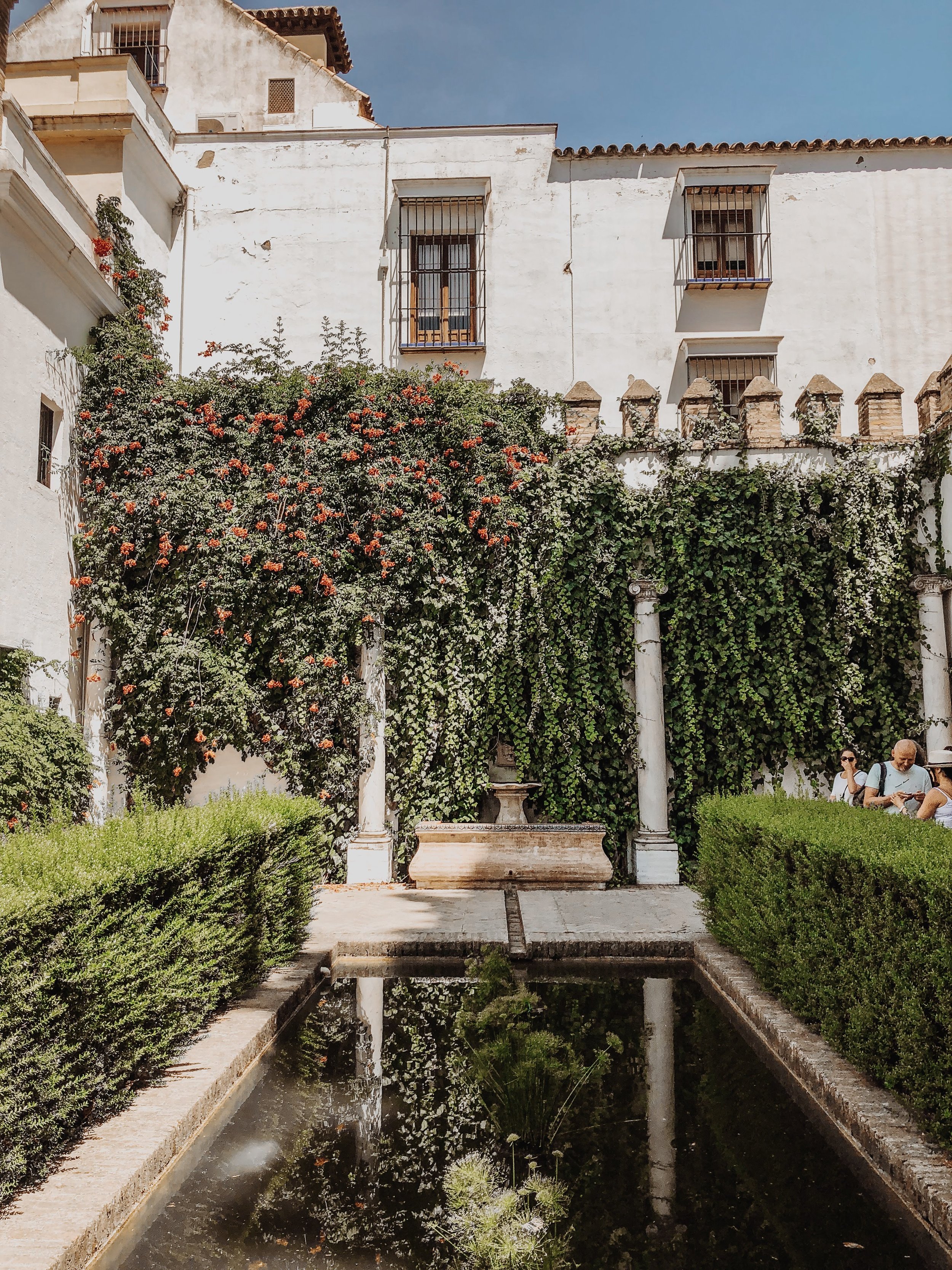 courtyard-royal-alcazar-seville-spain