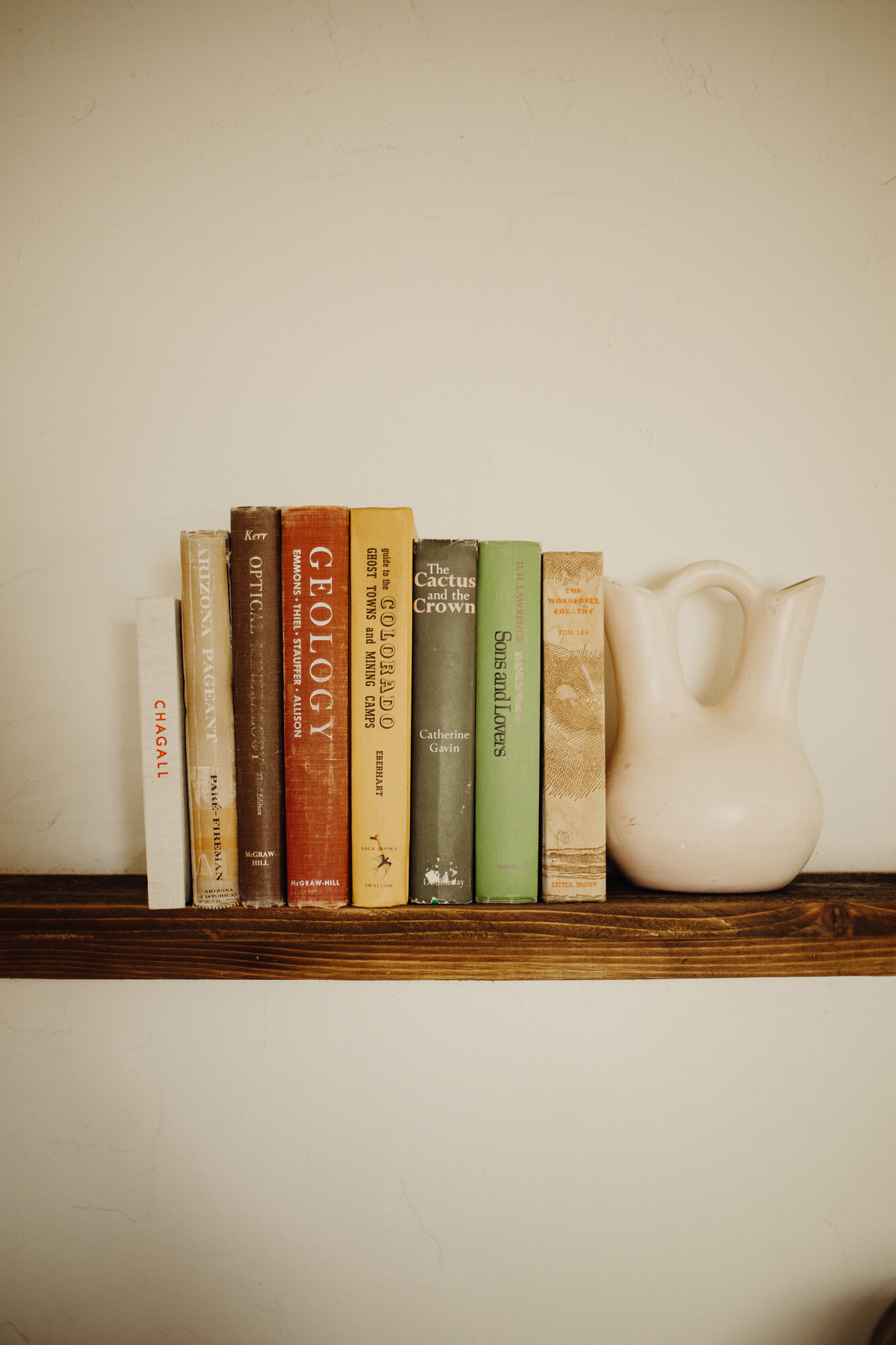 books-on-shelf-yucca-room-joshua-treehouse-tucson-airbnb
