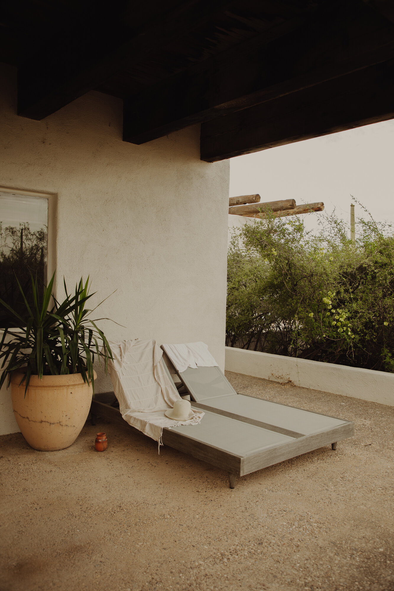 lounge-chairs-patio-yucca-room-arizona-airbnb