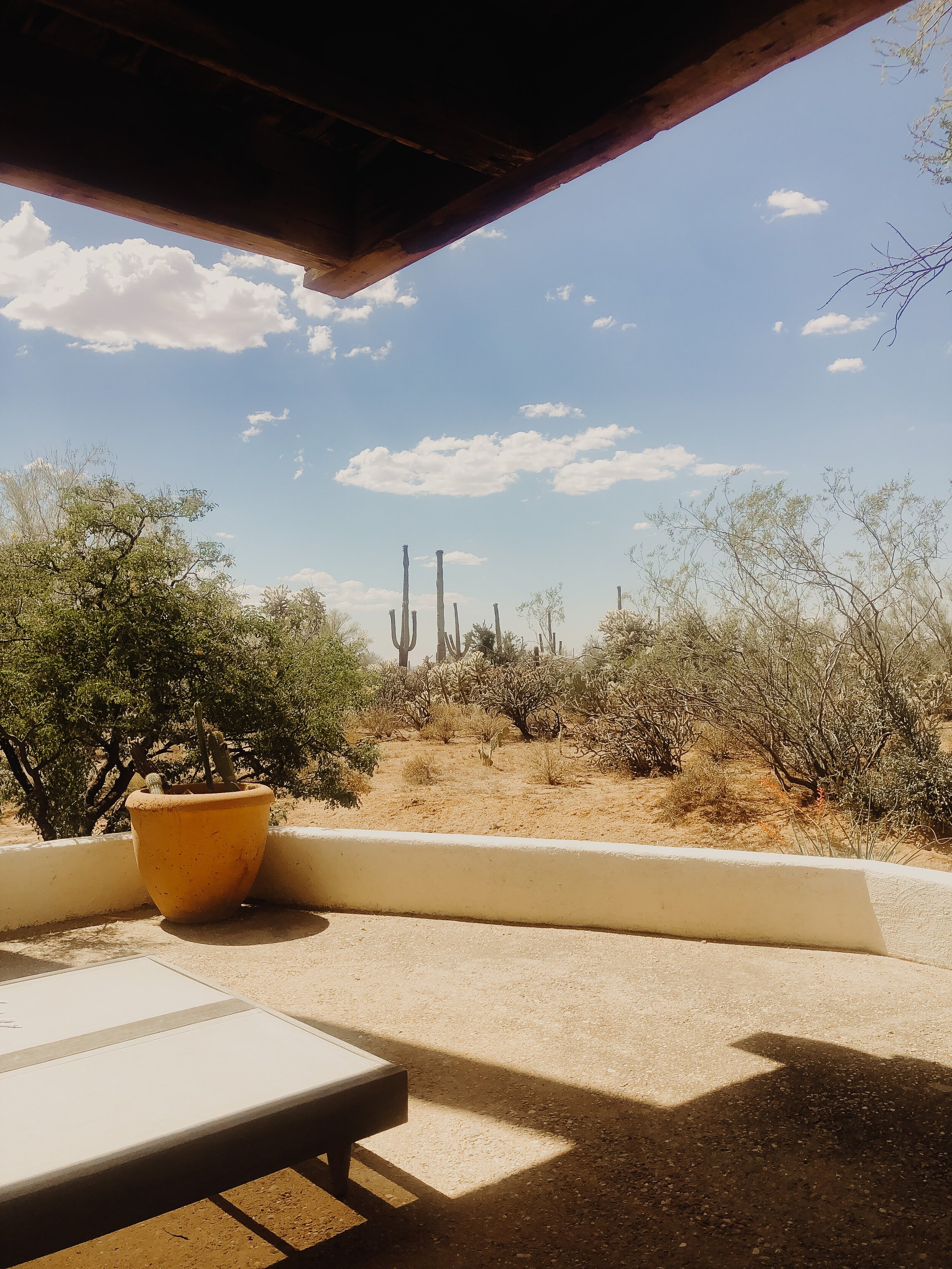 desert-view-yucca-room-joshua-treehouse-tucson-arizona-airbnb