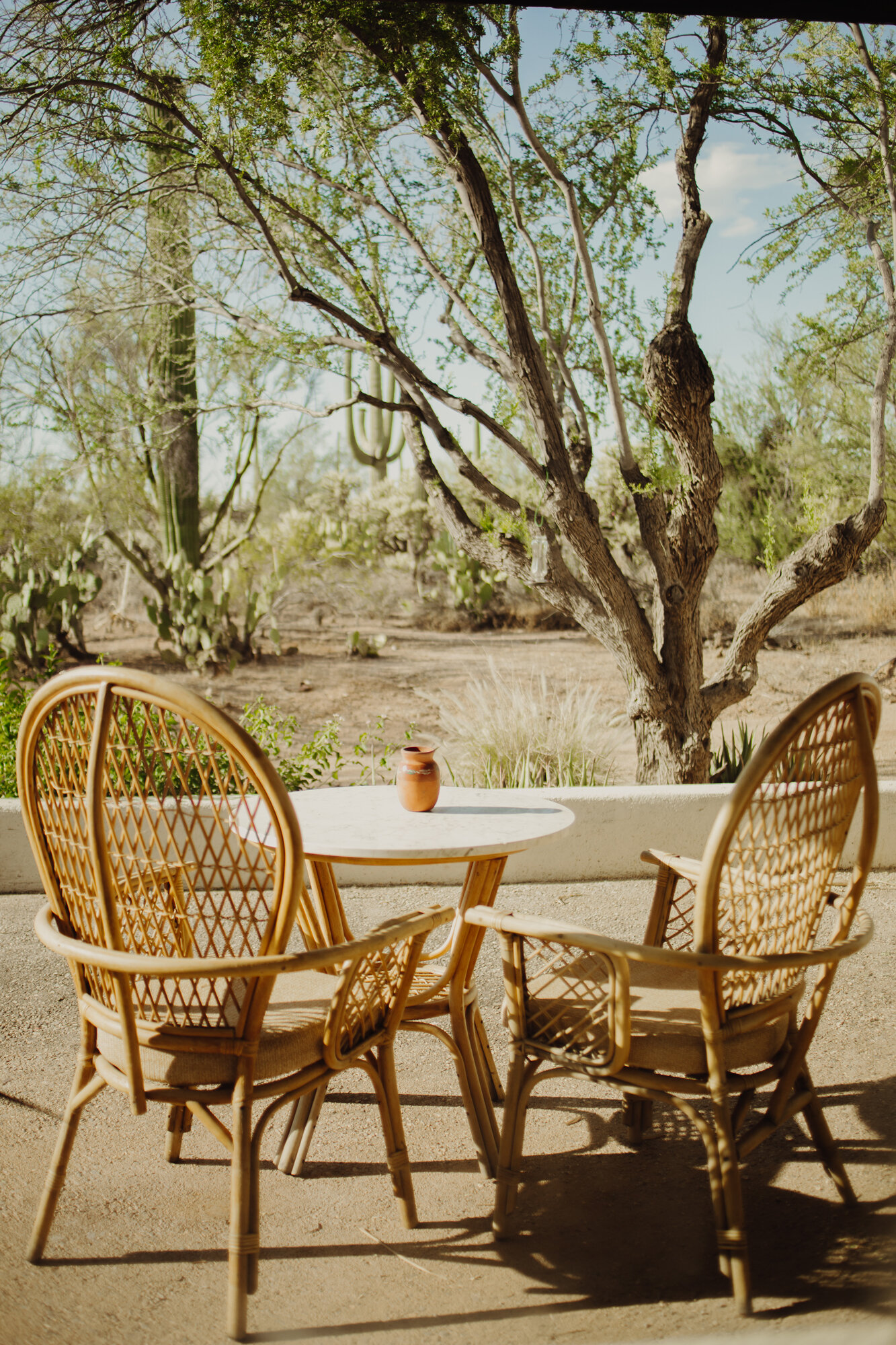 patio-furniture-yucca-room-joshua-tree-house-tucson-arizona-airbnb