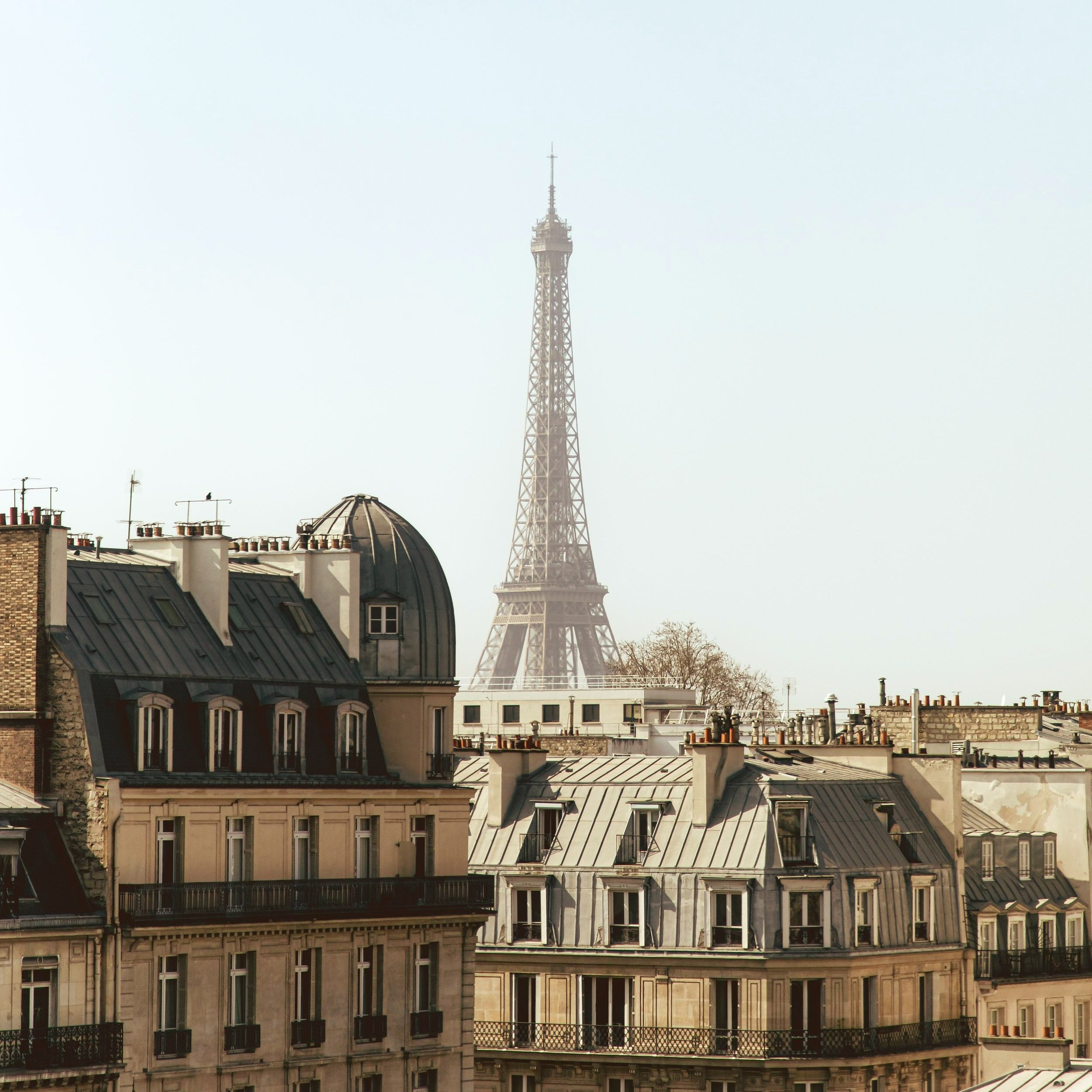 Orsay Museum, Official Website, South Pigalle, Paris