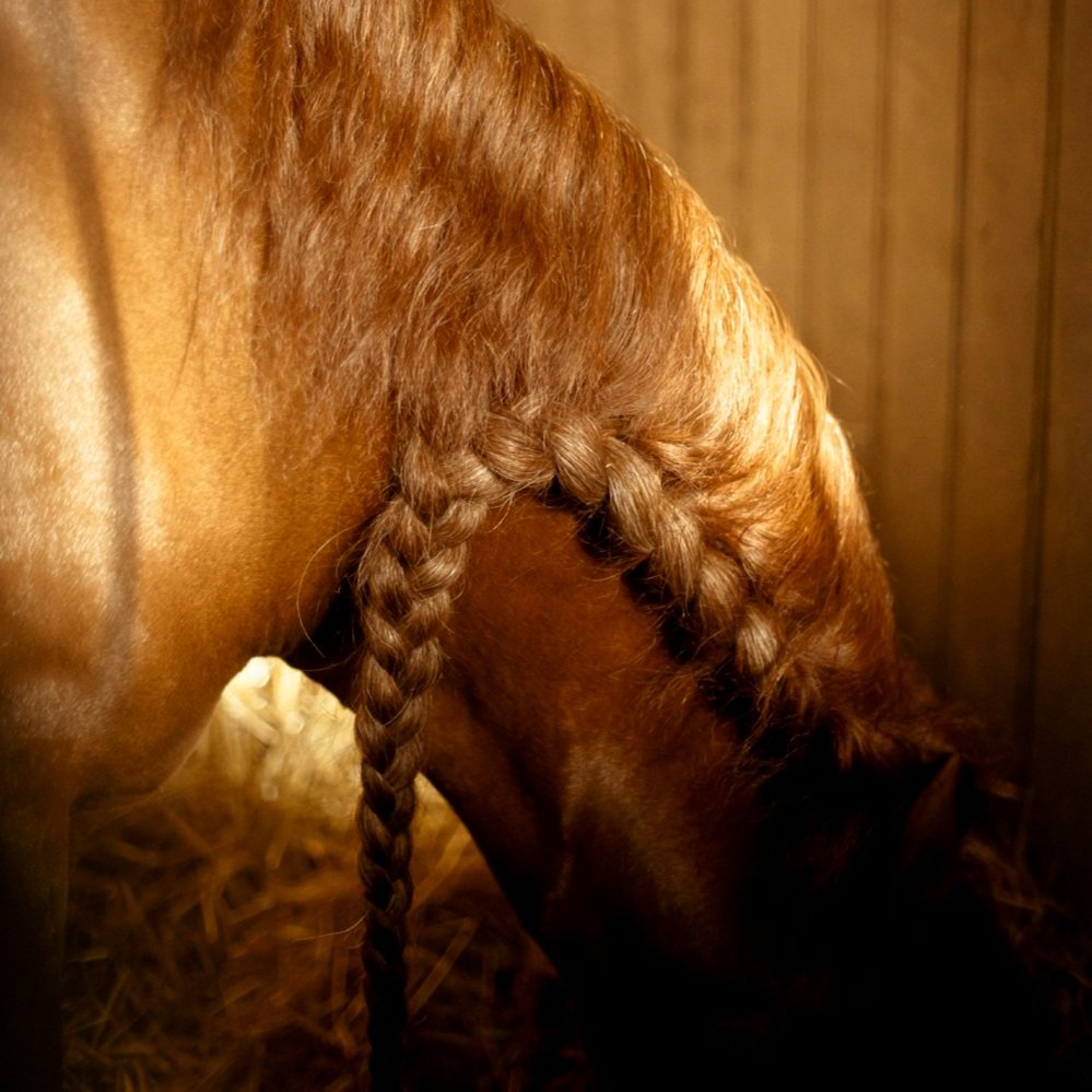 grand stables at chateau de chantilly