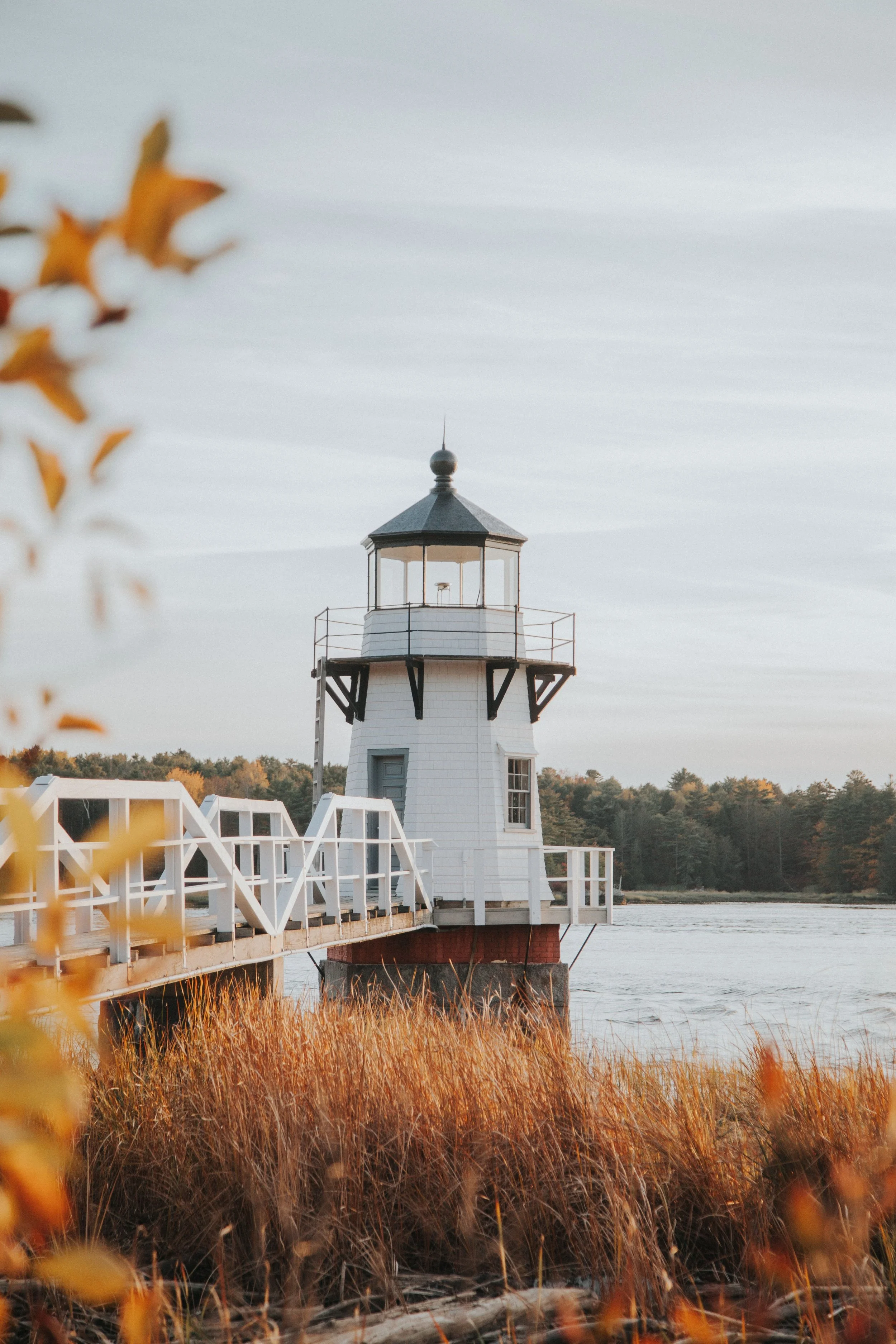 Local's Guide: Maine Fall Road Trip Itinerary (New England)